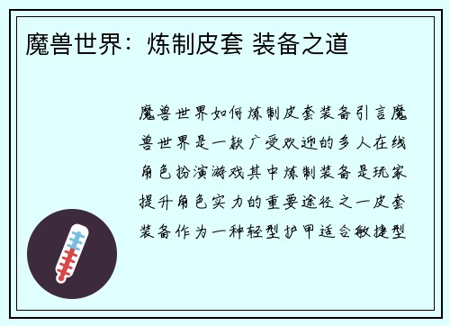 魔兽世界：炼制皮套 装备之道